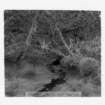 dalla_vita_del_bosco_foto_012_small.jpg