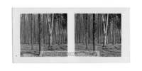 dalla_vita_del_bosco_stereo_001_small.jpg
