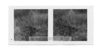 dalla_vita_del_bosco_stereo_005_small.jpg