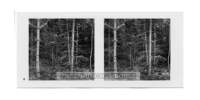 dalla_vita_del_bosco_stereo_006_small.jpg