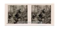 campagna_ovest_stereo_012_small.jpg