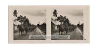 occupazione_polonia_stereo_084_small.jpg
