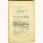 memoiresurlavisionbinoculaire_small.jpg